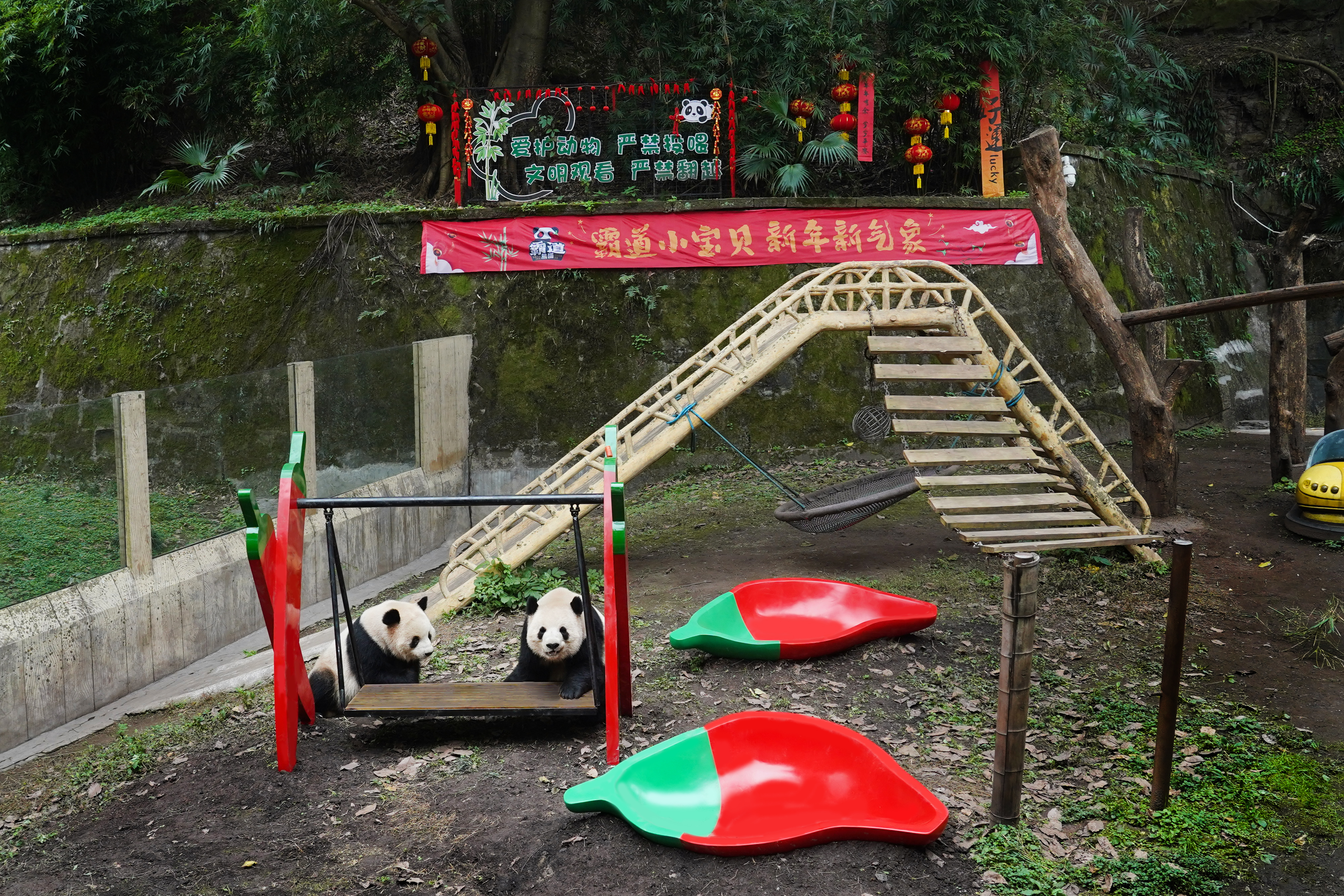 1706925328968269.jpg 1706925328968269.jpg